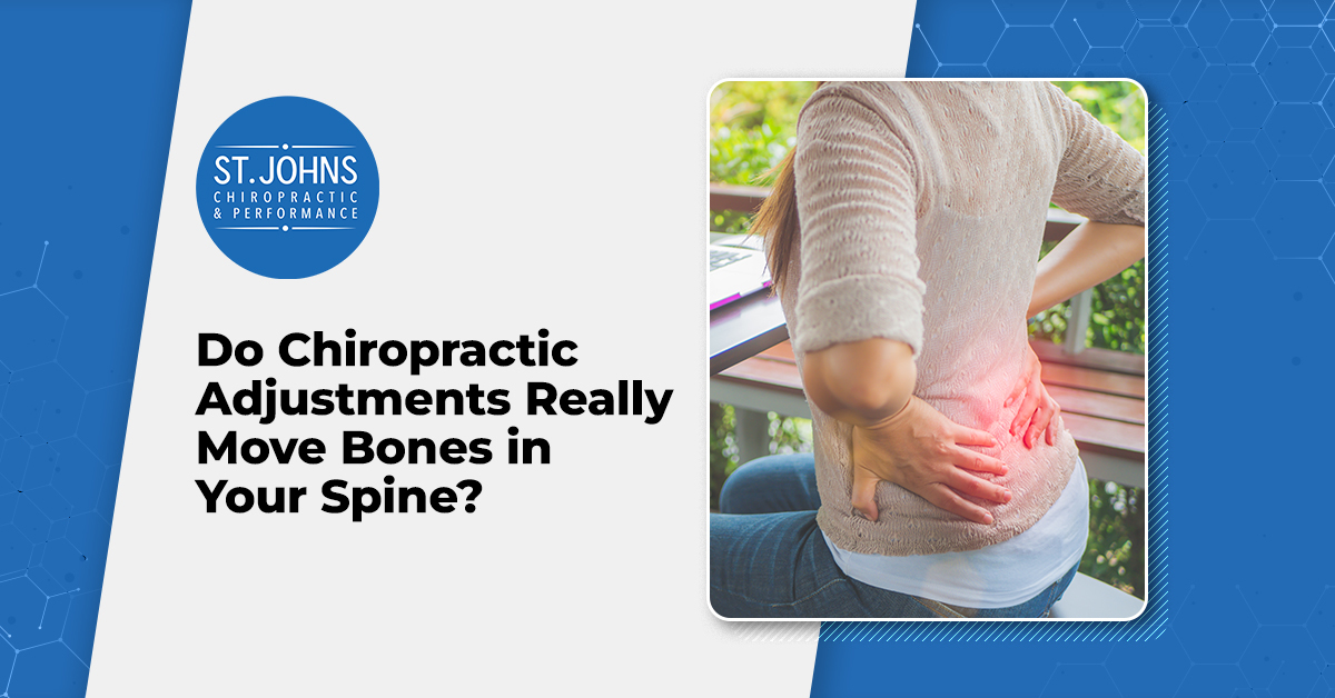 Do Chiropractic Adjustments Really Move Bones in Your Spine? | St. Johns Chiropractic & Performance